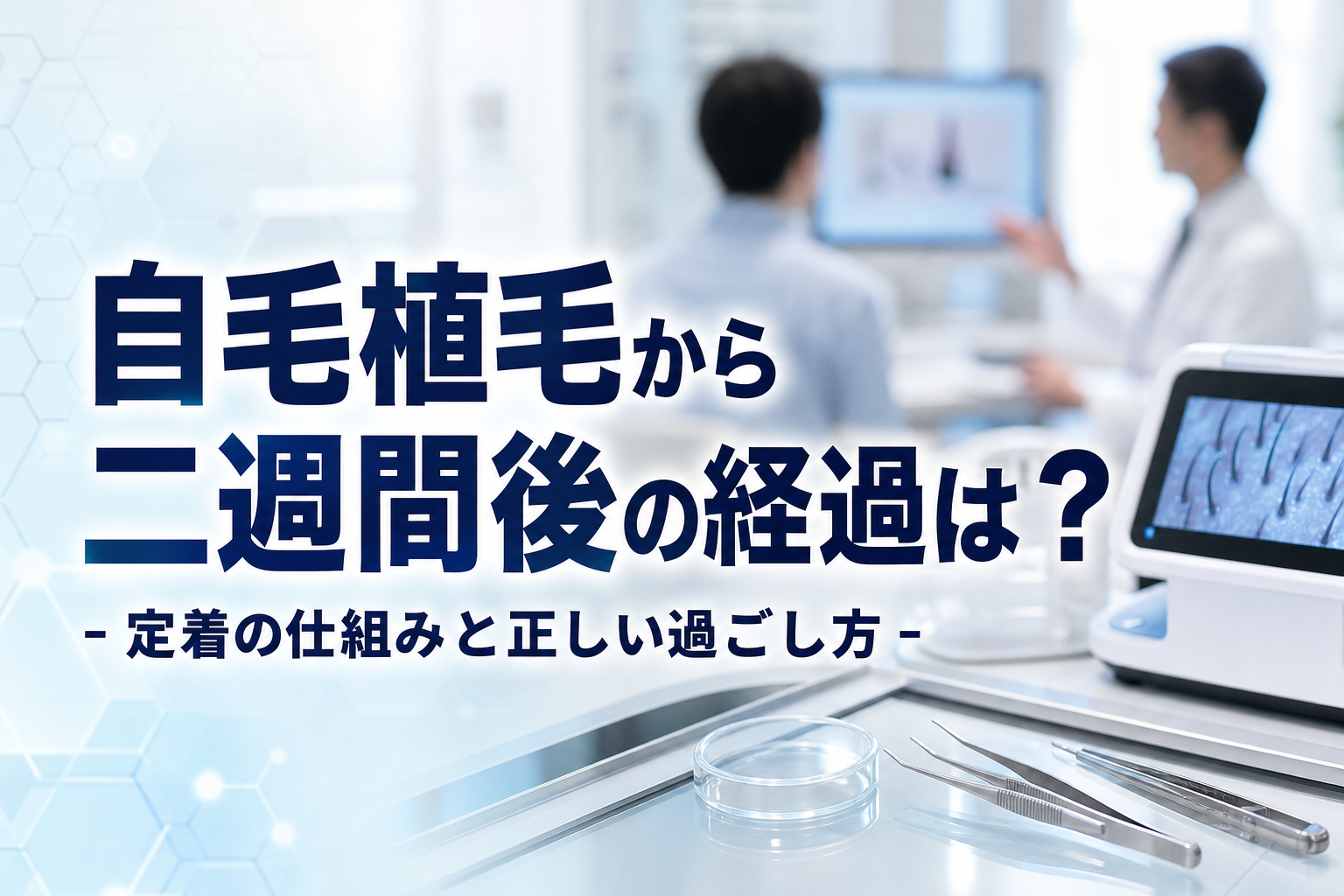 自毛植毛から二週間後の経過は？定着の仕組みと正しい過ごし方