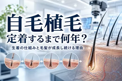 自毛植毛 定着するまで何年？生着の仕組みと毛髪が成長し続ける理由