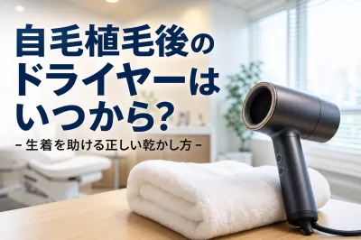 自毛植毛後のドライヤーはいつから？生着を助ける正しい乾かし方